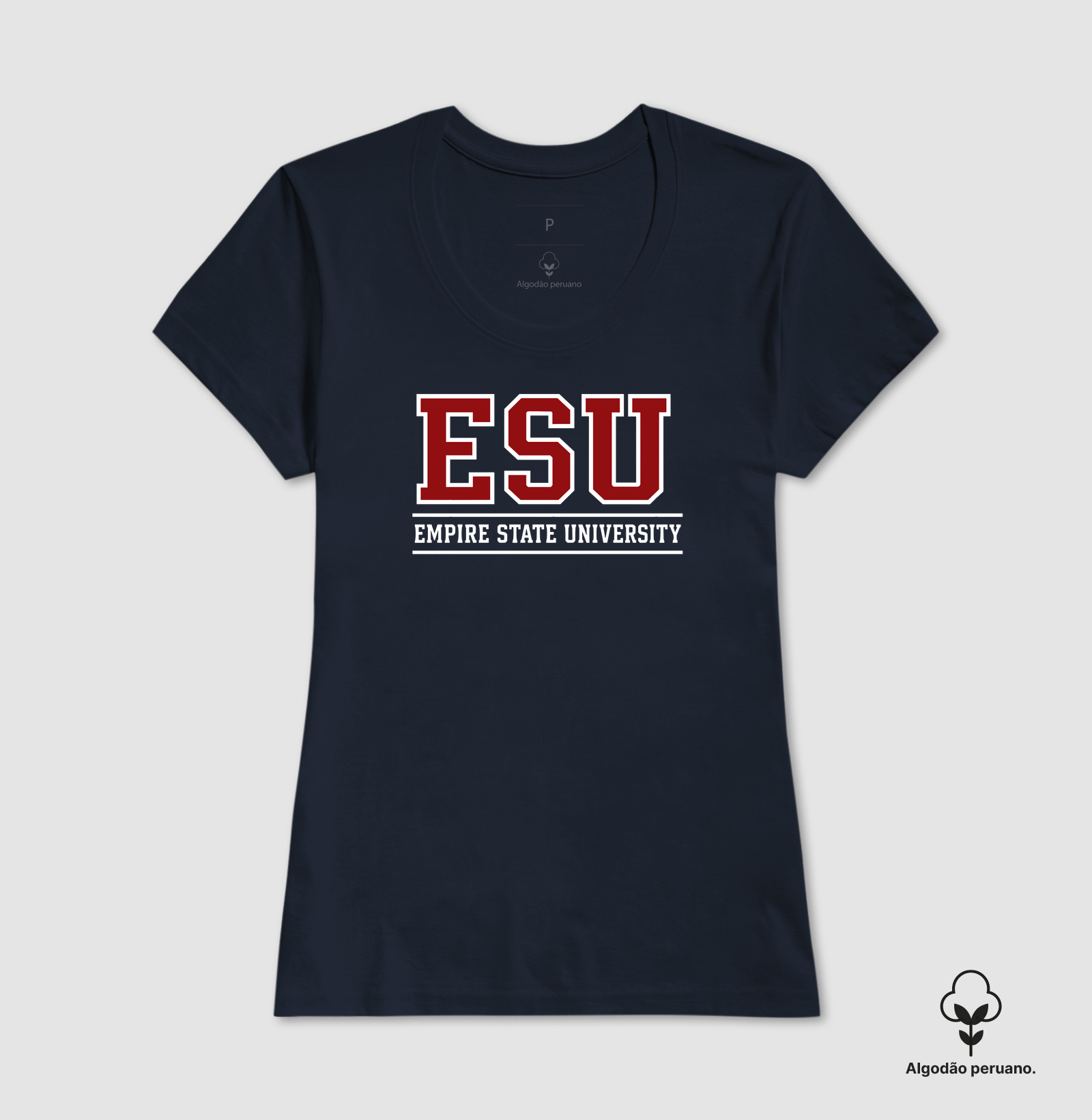 Empire State University - Imagem 4