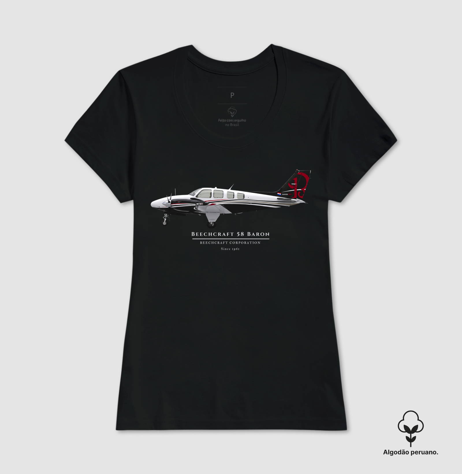 Beechcraft Baron 58 - Profile - Imagem 4
