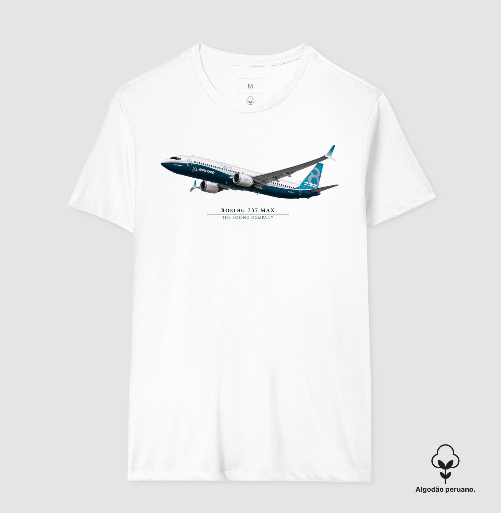Boeing 737 MAX - Imagem 5