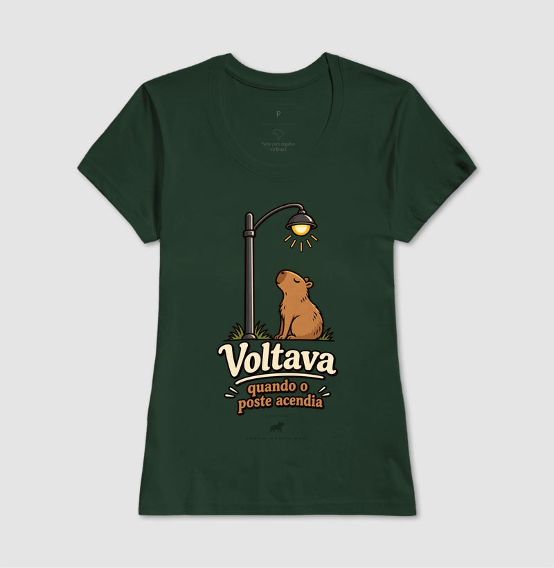 VOLTAVA QUANDO O POSTE ACENDIA - Imagem 15