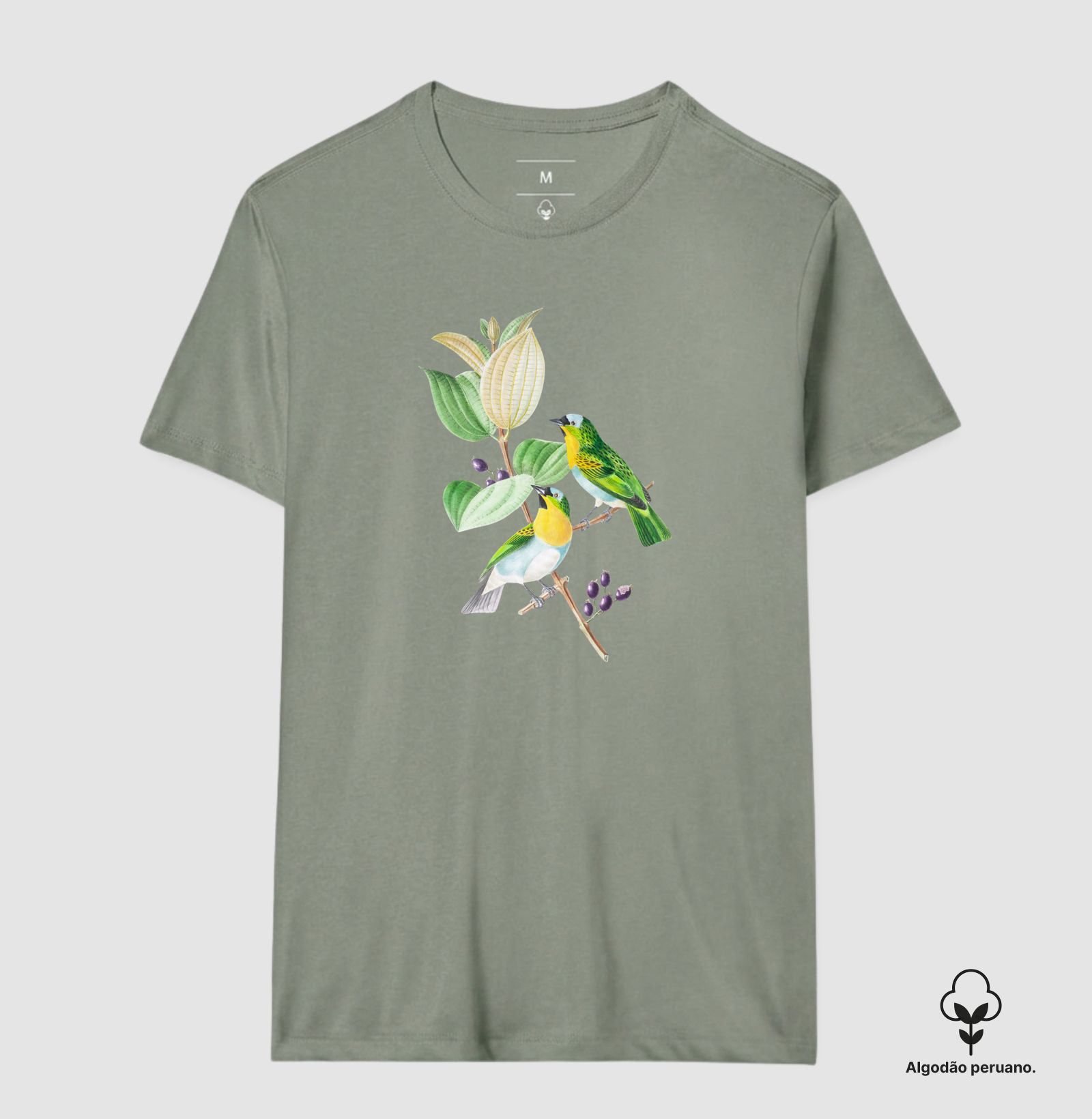 Camisa 7