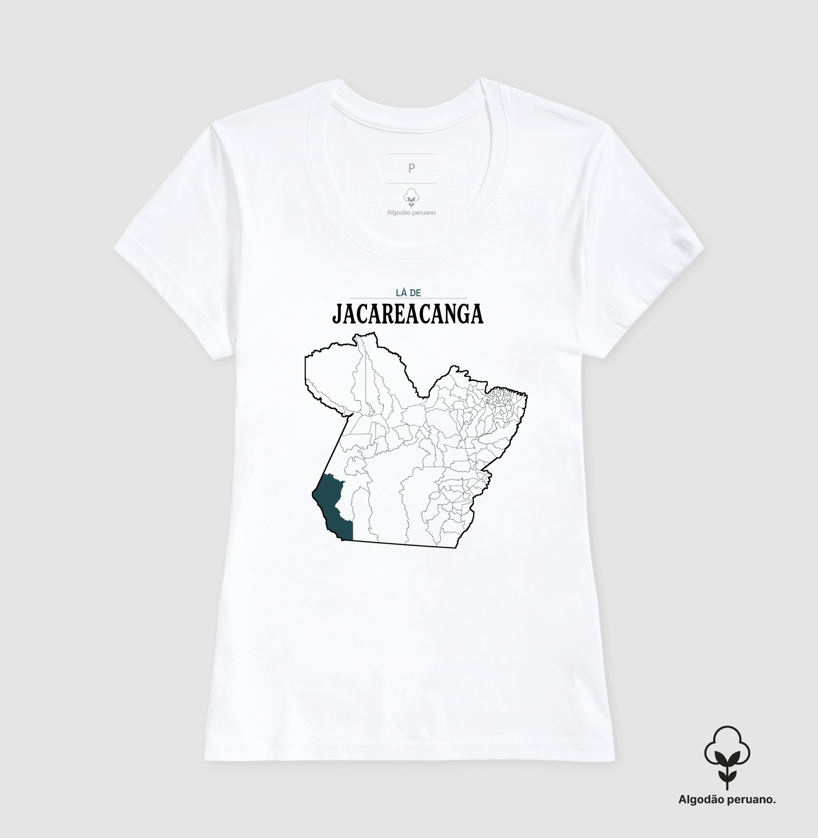 Jacareacanga | Território PA - Imagem 8