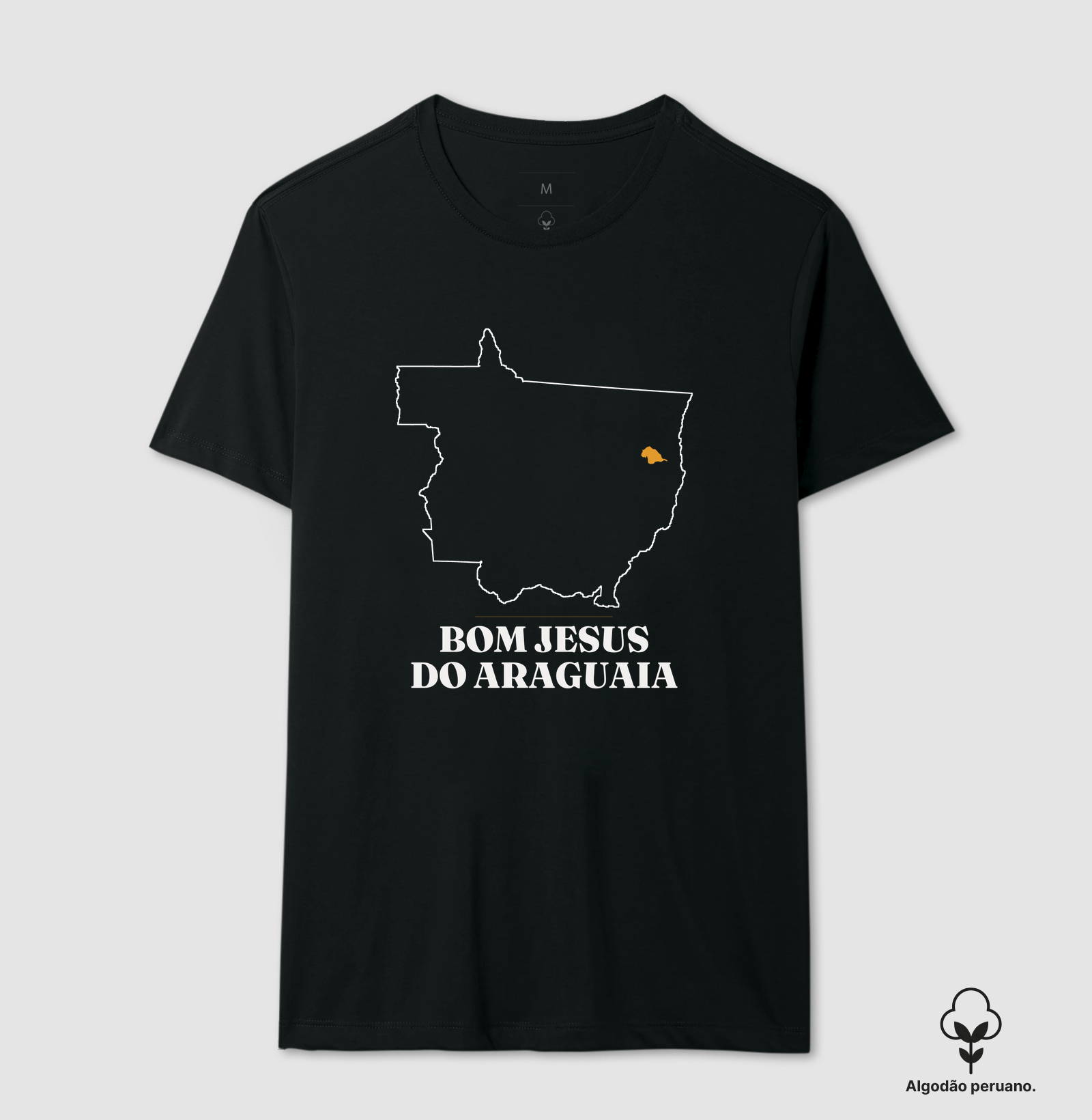 Bom Jesus do Araguaia | Traço MT - Imagem 5