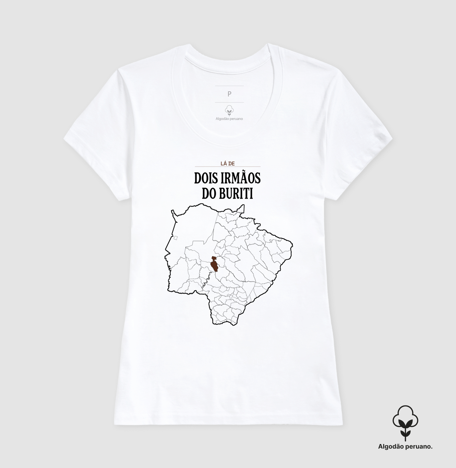 Dois Irmãos do Buriti | Território MS - Imagem 6
