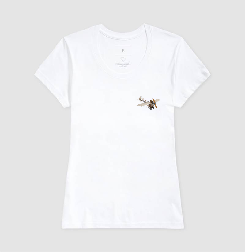 Santos-Dumont Demoiselle - Imagem 5