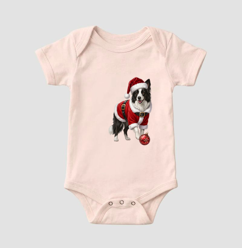 Border Collie - Natal - Imagem 5