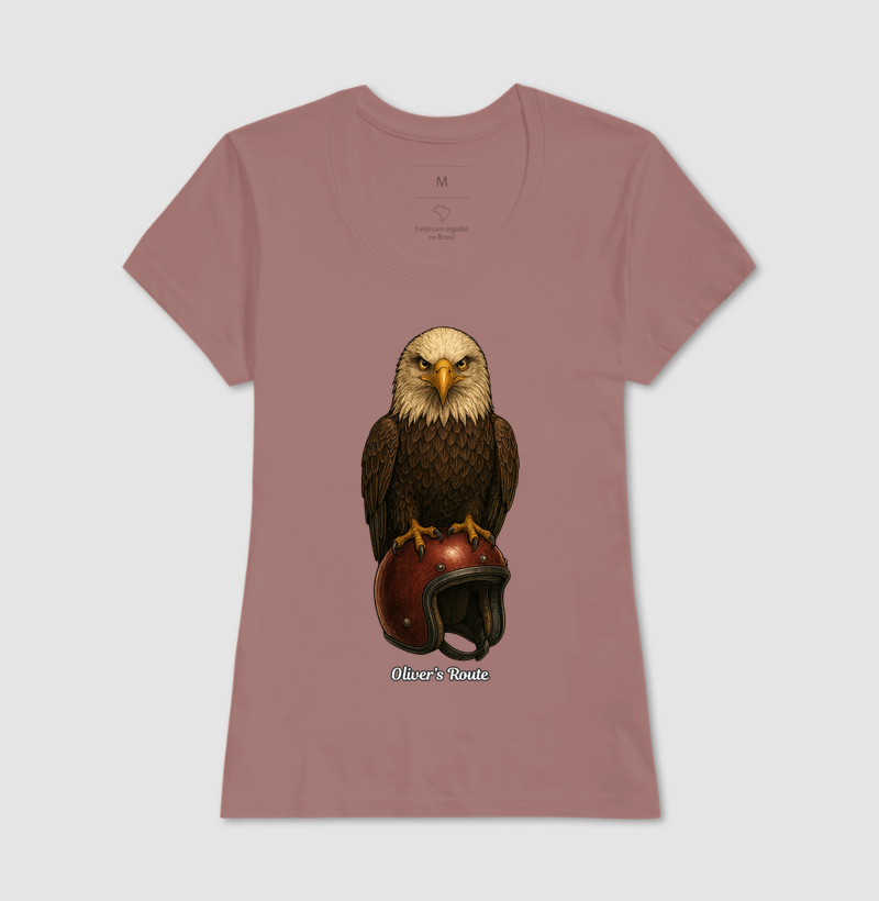 The Eagle and the Helmet - Imagem 17