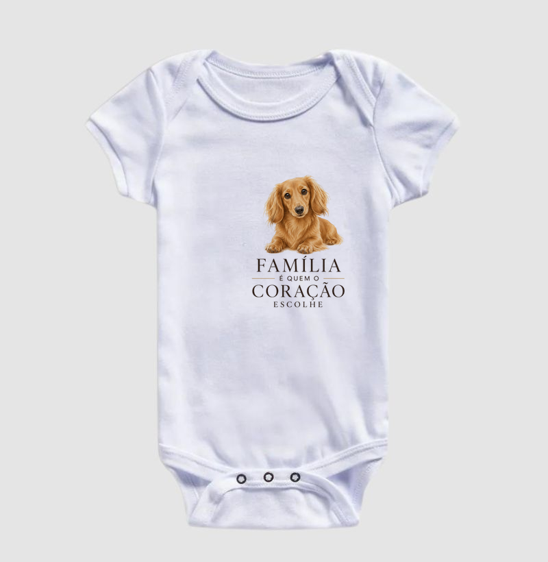 Dachshund Pelo Longo - Família - Imagem 3