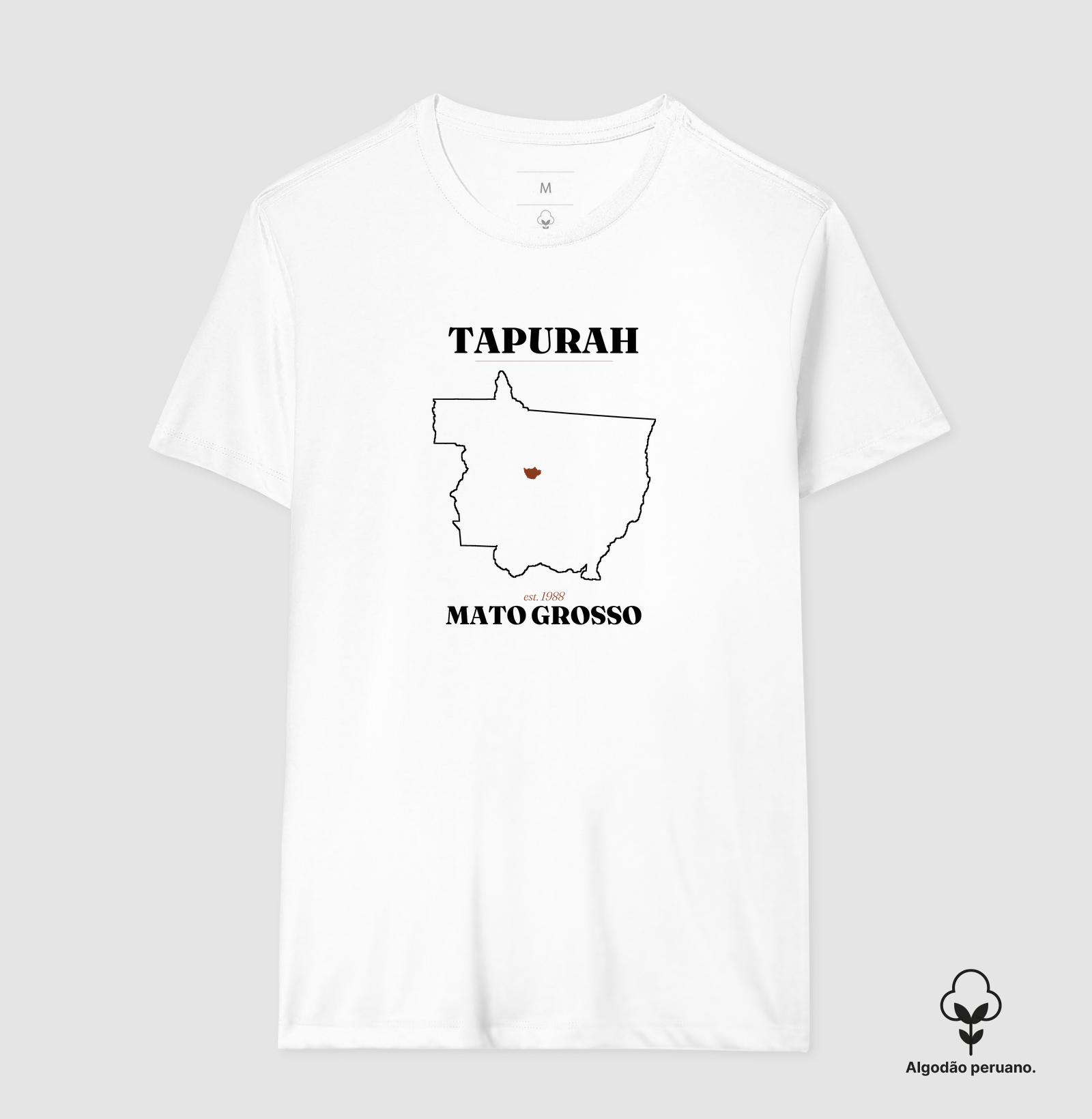 Tapurah | Legado MT - Imagem 4