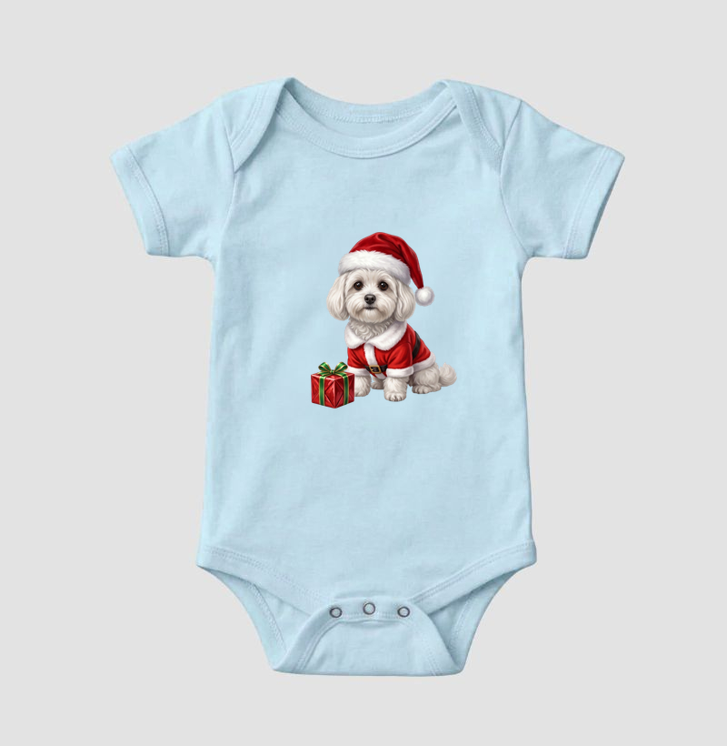 Bichon Bolonhês - Natal - Imagem 4