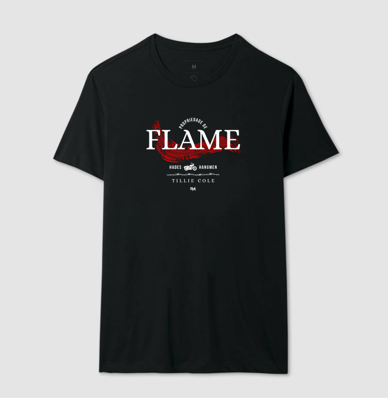 Propriedade de Flame - Imagem 2