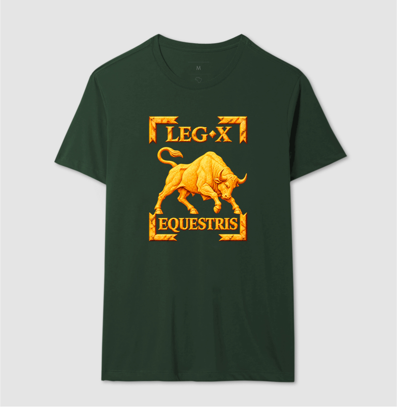 LEGIO — X Equestris - III - Imagem 5