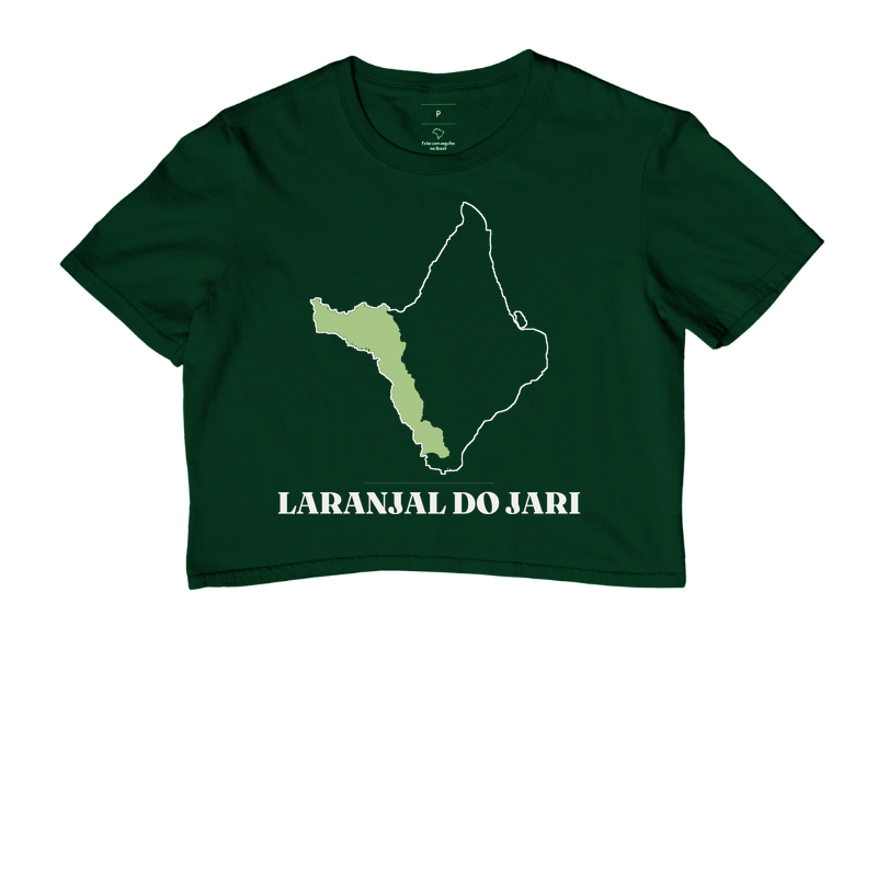 Laranjal do Jari | Traço AP - Imagem 5