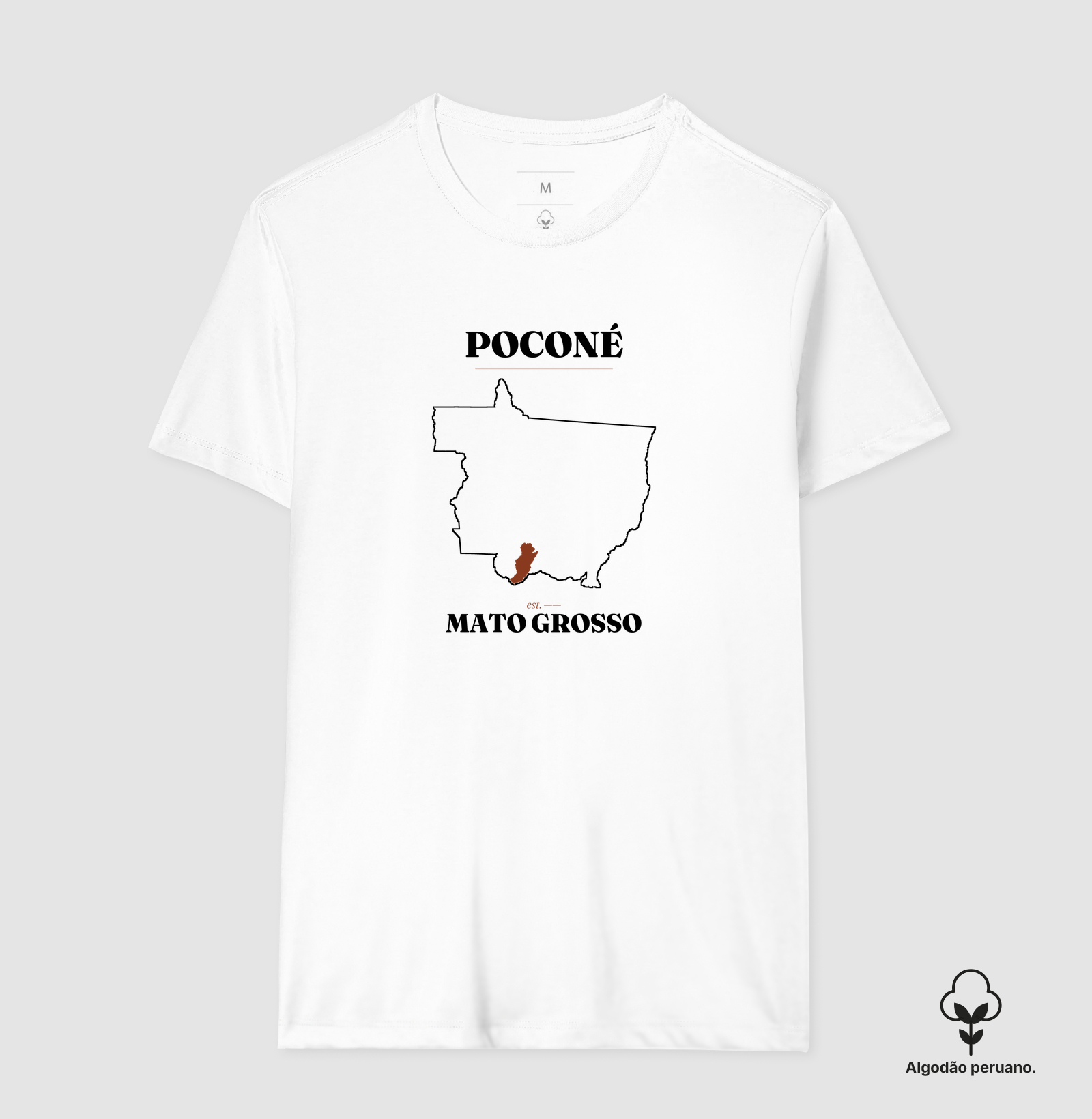 Poconé | Legado MT - Imagem 6