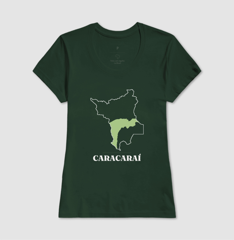 Caracaraí | Traço RR - Imagem 13
