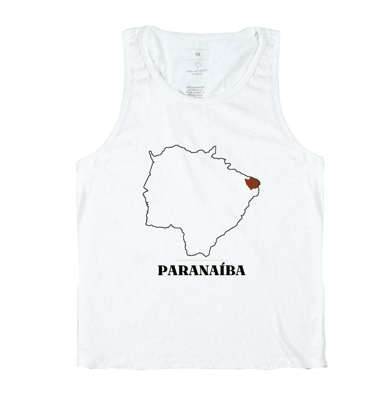 Paranaíba | Traço MS - Imagem 2