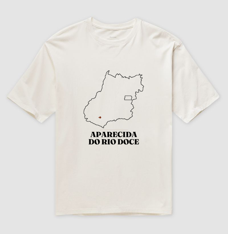 Aparecida do Rio Doce | Traço GO - Imagem 4