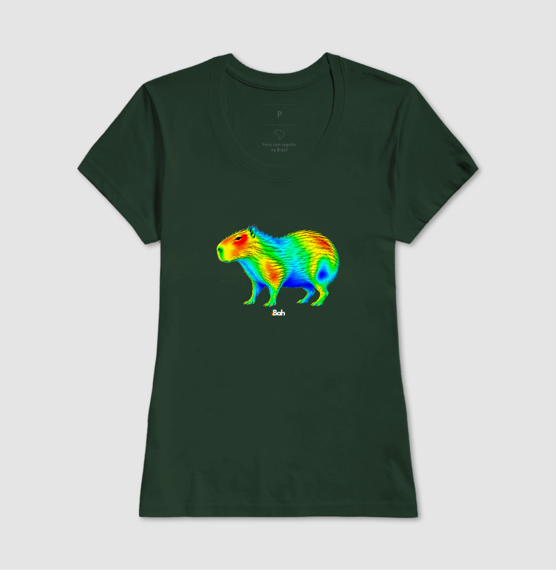Aerodinâmica de uma Capivara - Imagem 13