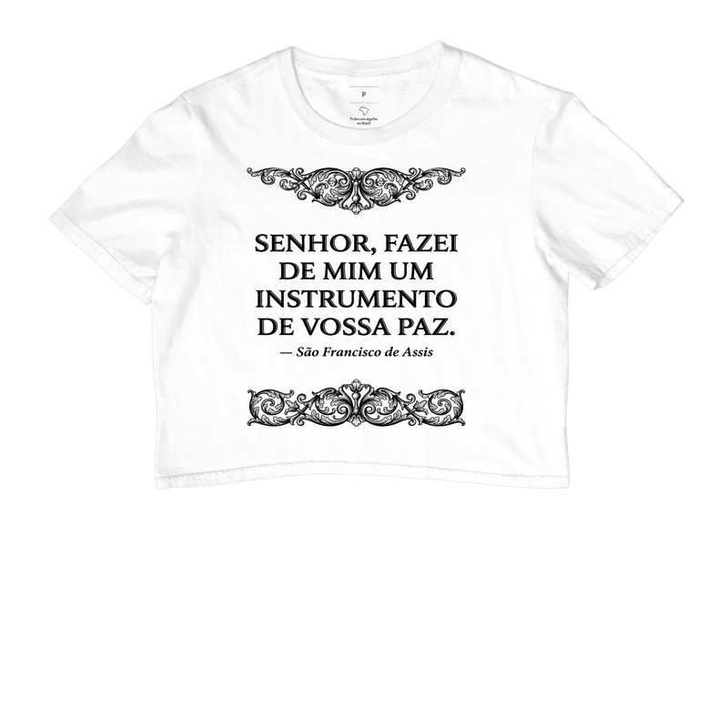 Senhor fazei de mim um instrumento de vossa paz - Imagem 3