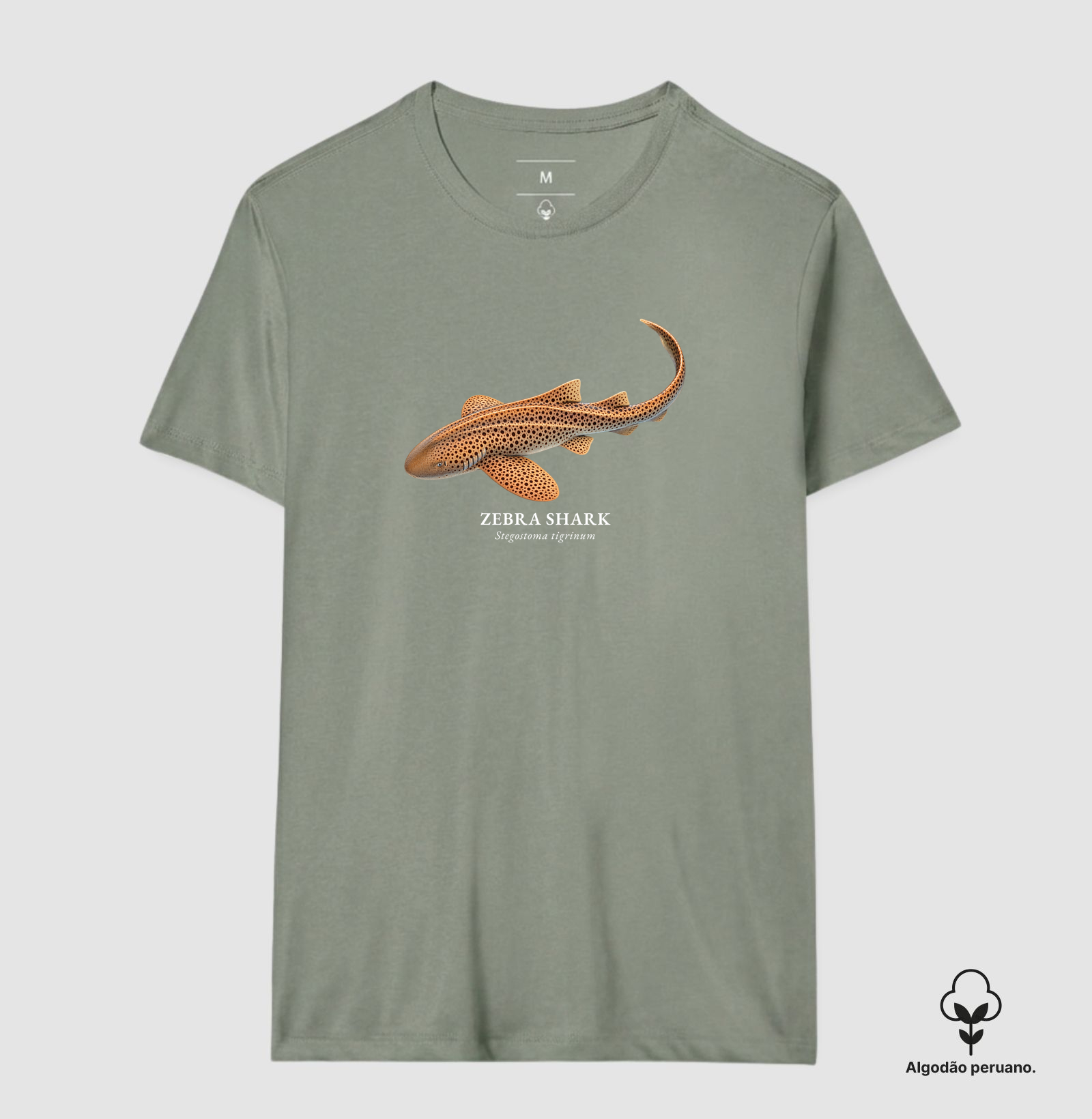 Zebra Shark - Imagem 4