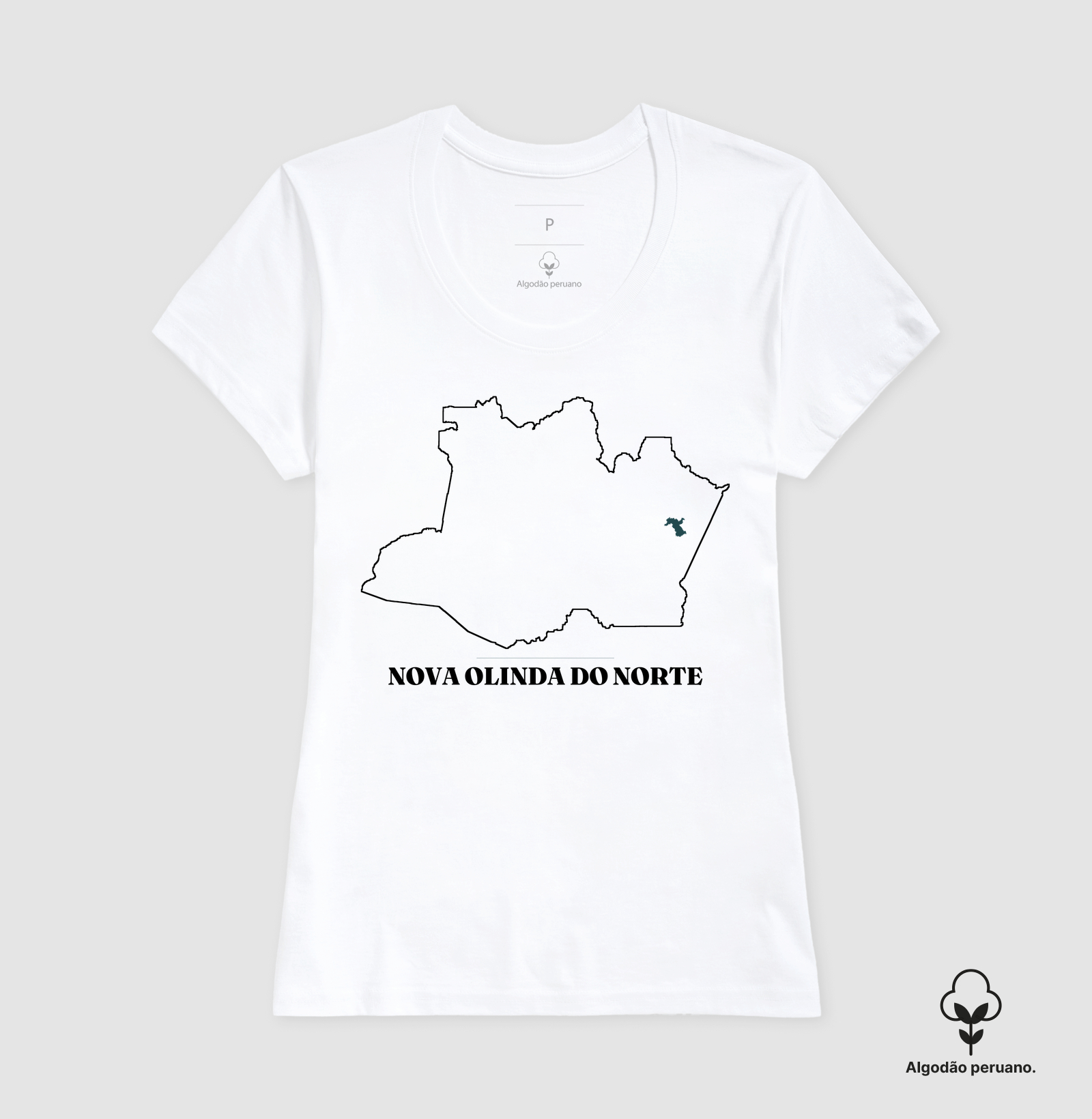 Nova Olinda do Norte | Traço AM - Imagem 7