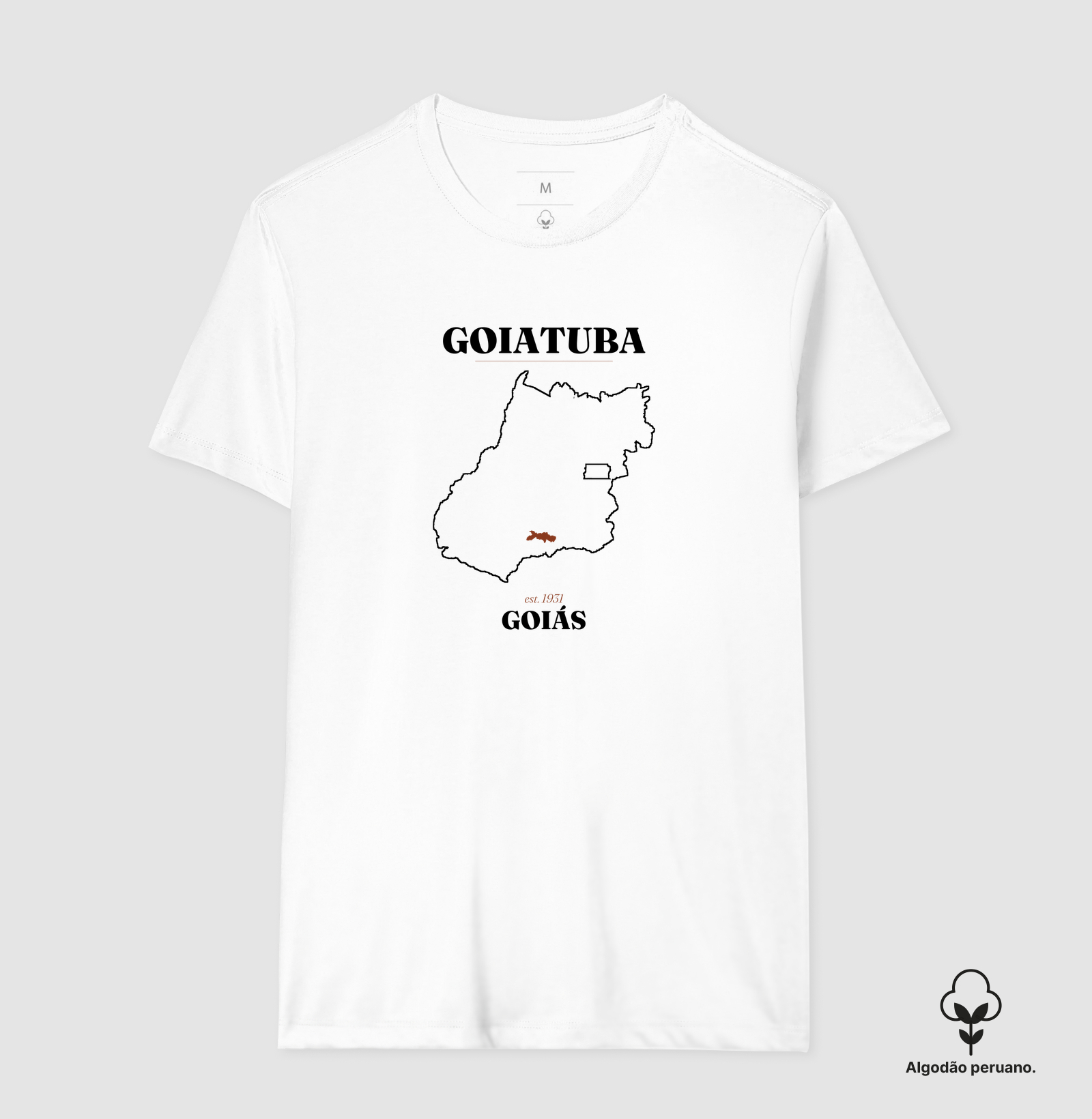 Goiatuba | Legado GO - Imagem 3
