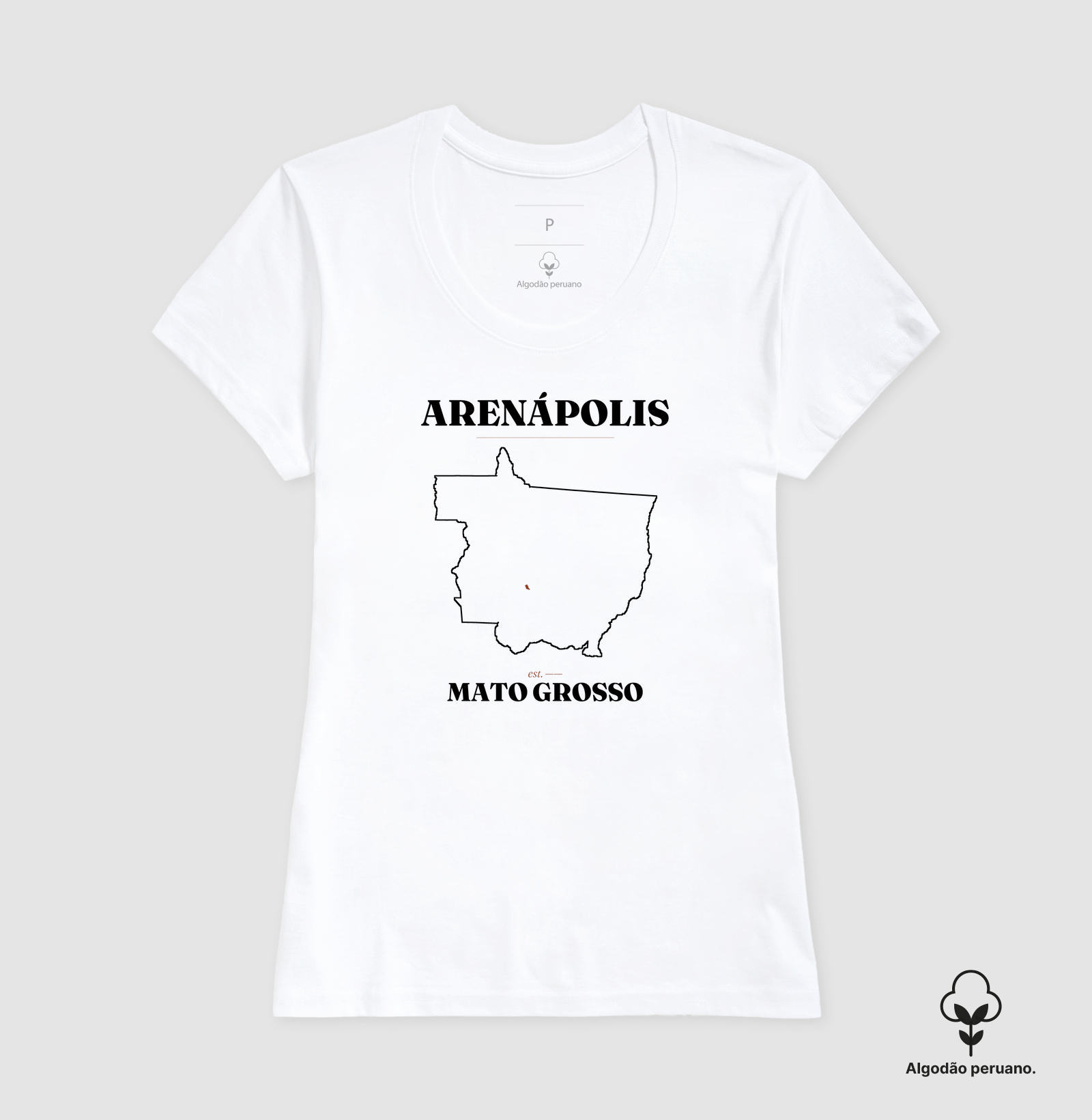 Arenápolis | Legado MT - Imagem 8