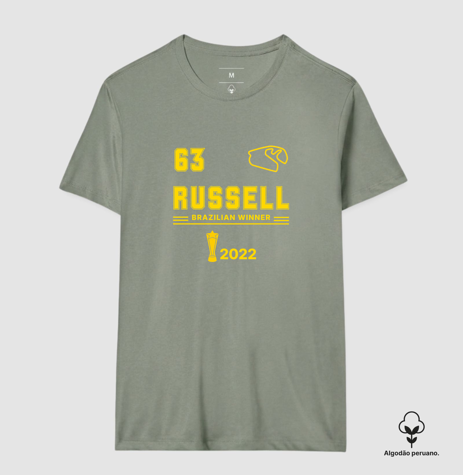 George Russell Brazilian Winner - Imagem 7