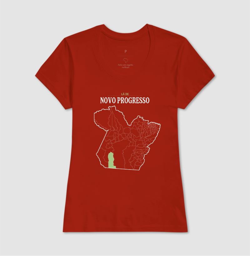 Novo Progresso | Território PA - Imagem 11