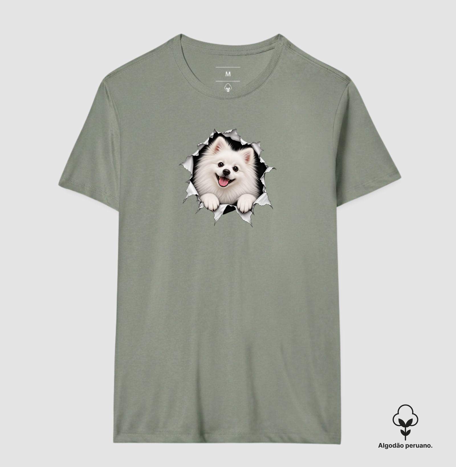 Pomerânia (Spitz Alemão) Saindo da Camisa - Imagem 9