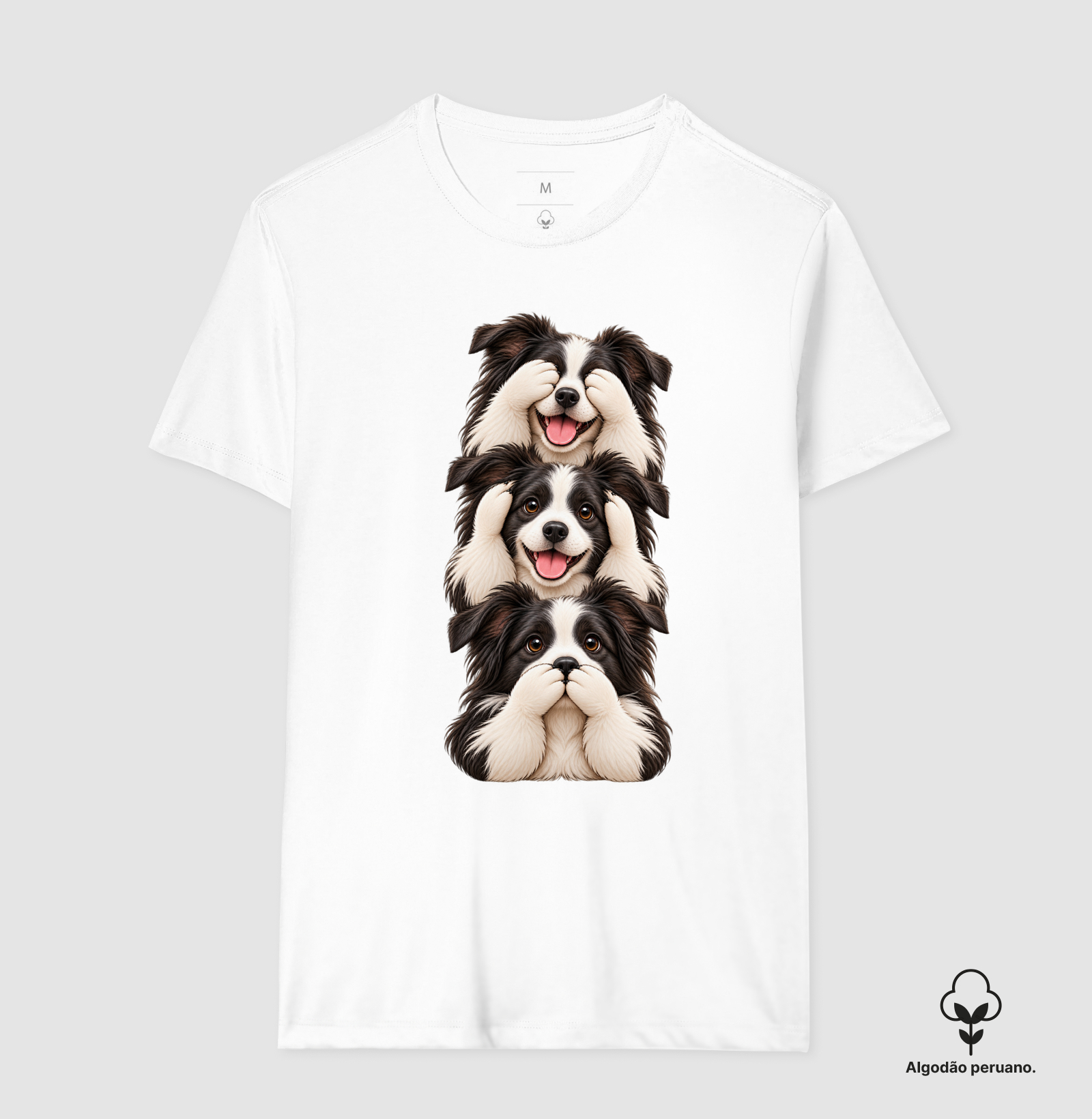 Ver, ouvir e falar Border Collie - Imagem 6