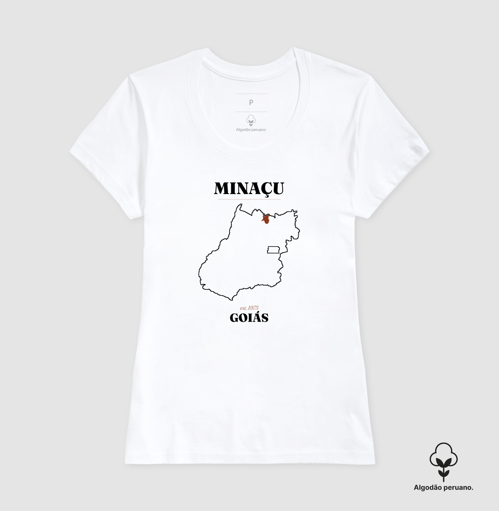 Minaçu | Legado GO - Imagem 6