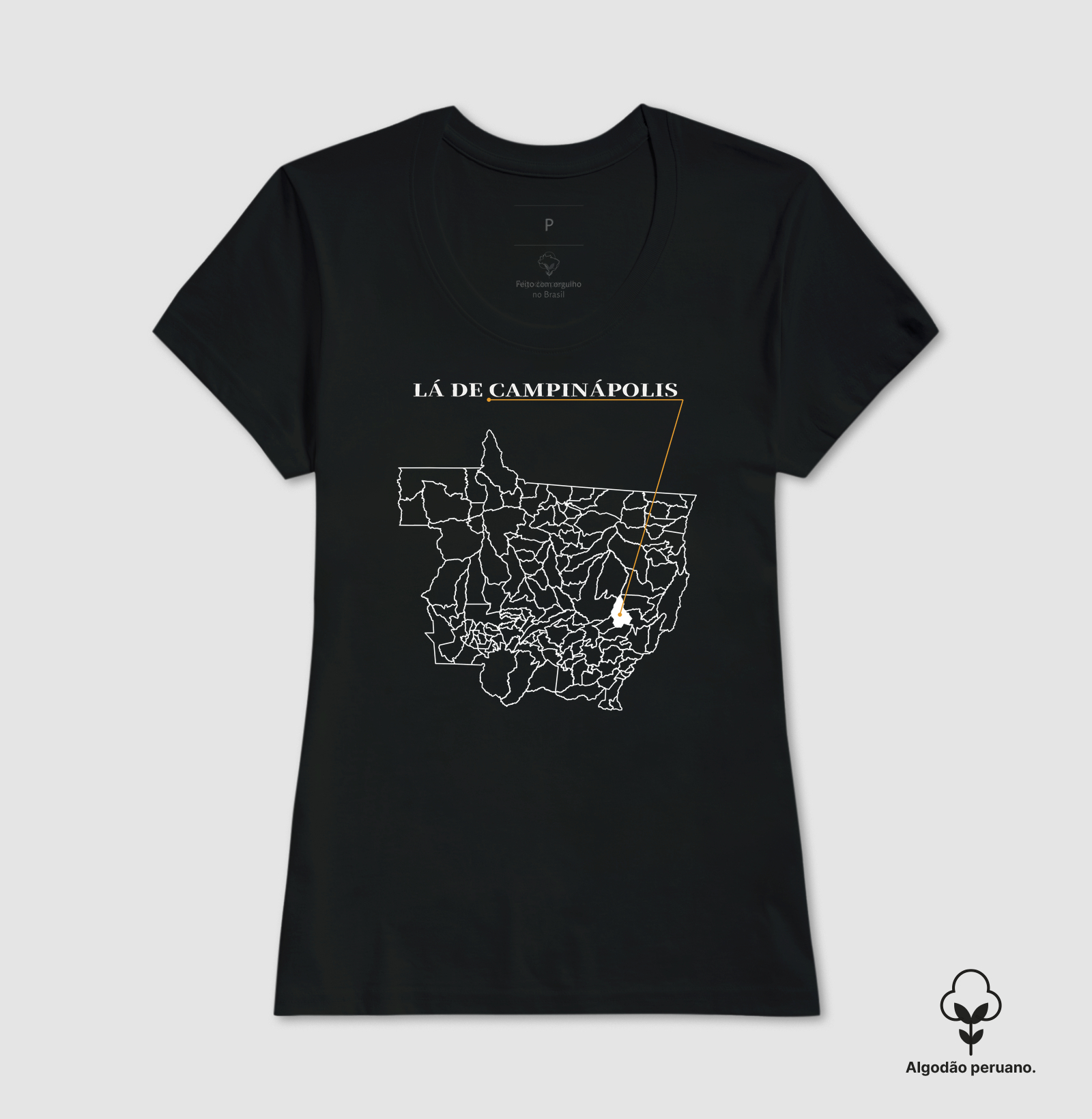 Campinápolis | Origem MT - Imagem 6