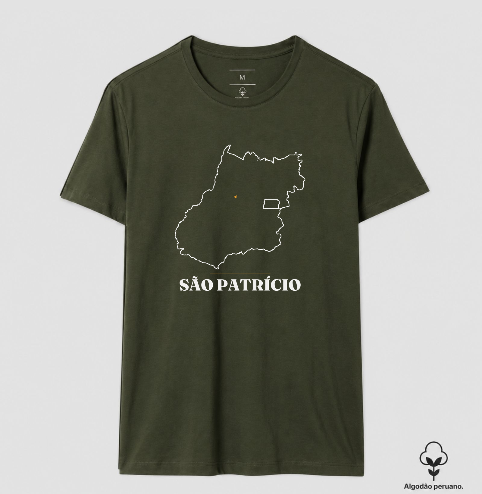 São Patrício | Traço GO - Imagem 7