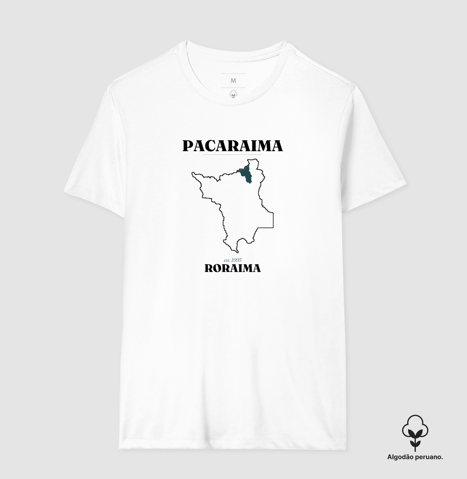 Pacaraima | Legado RR - Imagem 8