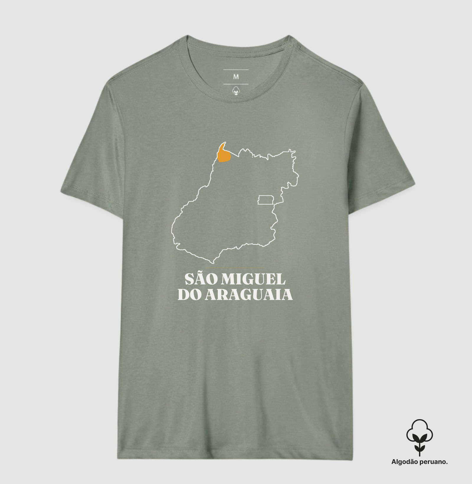 São Miguel do Araguaia | Traço GO - Imagem 9