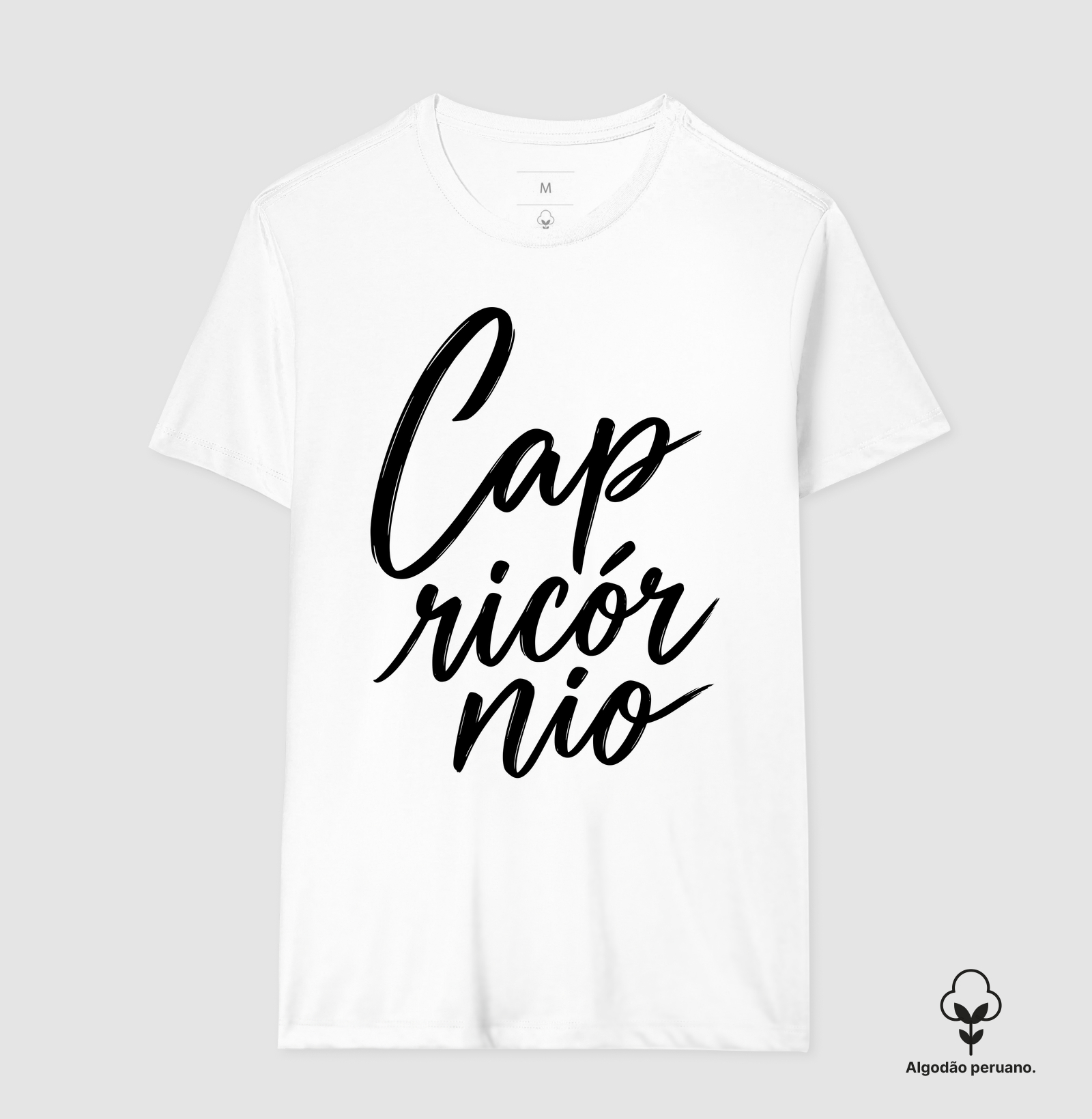 Capricórnio - Imagem 2