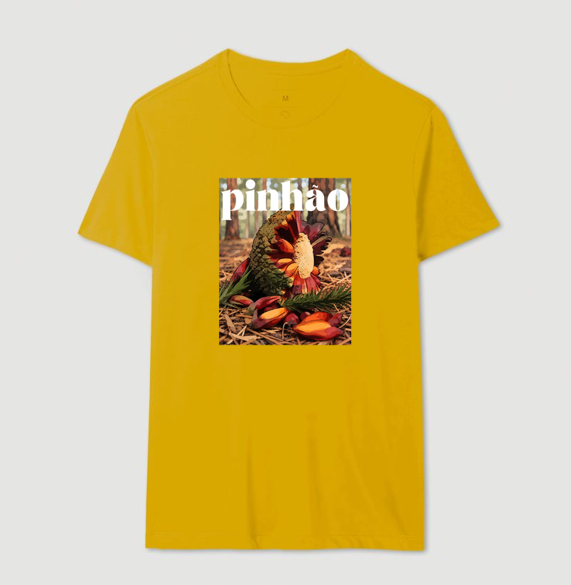 Pinhão - Imagem 14