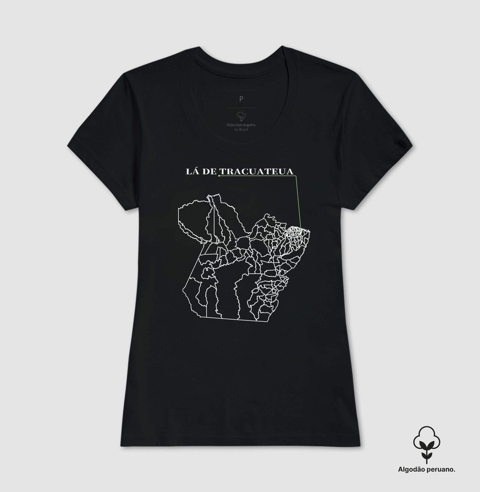 Tracuateua | Origem PA - Imagem 3