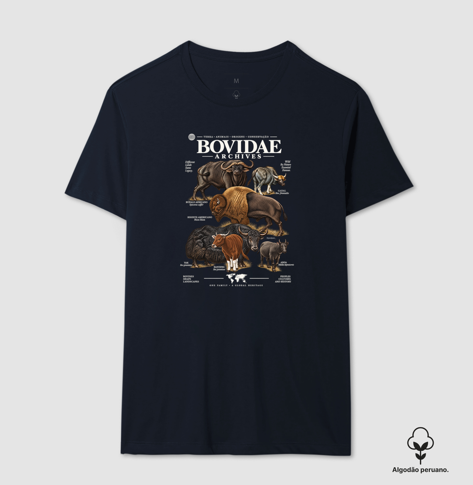 Bovidae Archives - Imagem 8