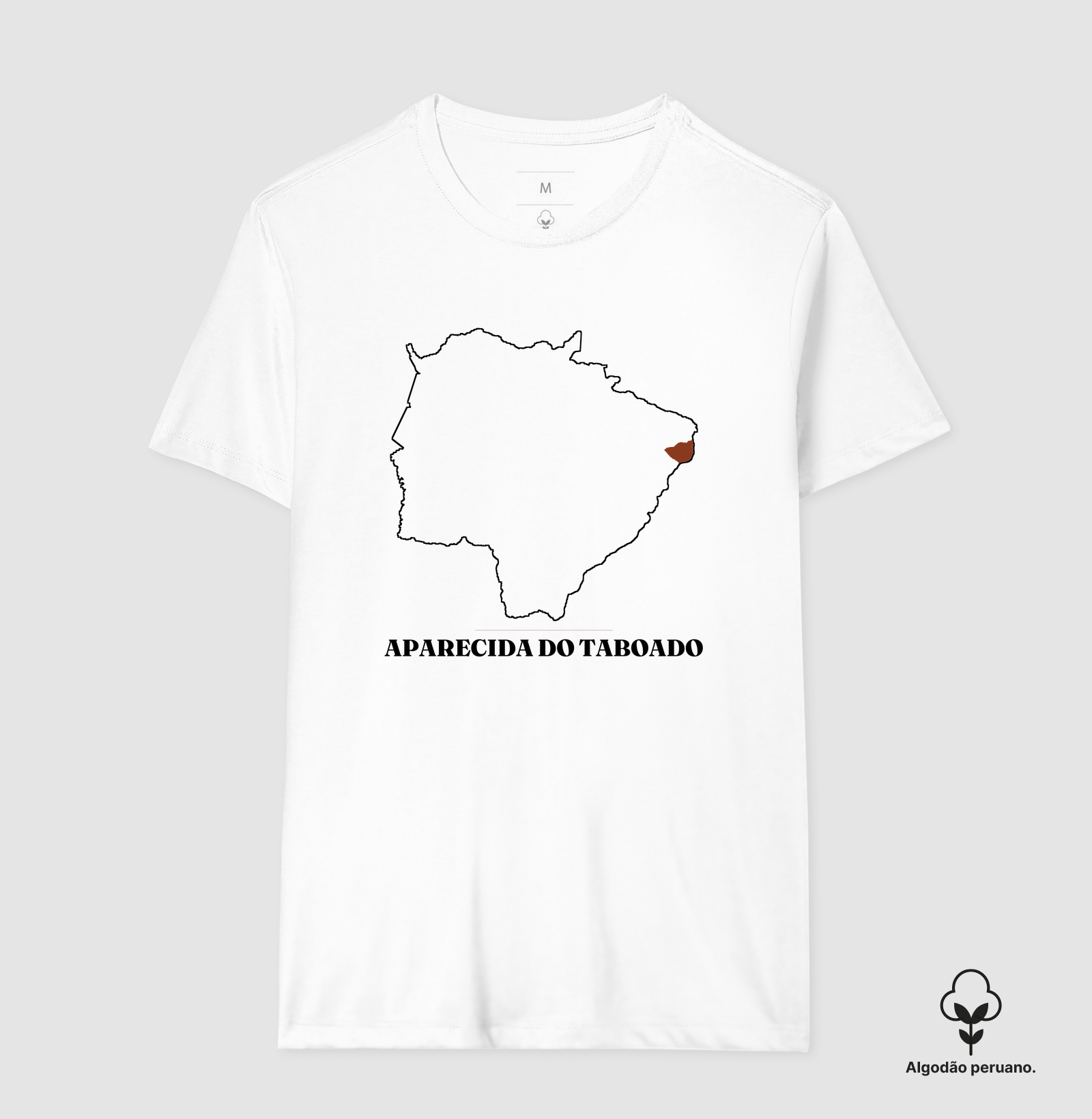 Aparecida do Taboado | Traço MS - Imagem 6