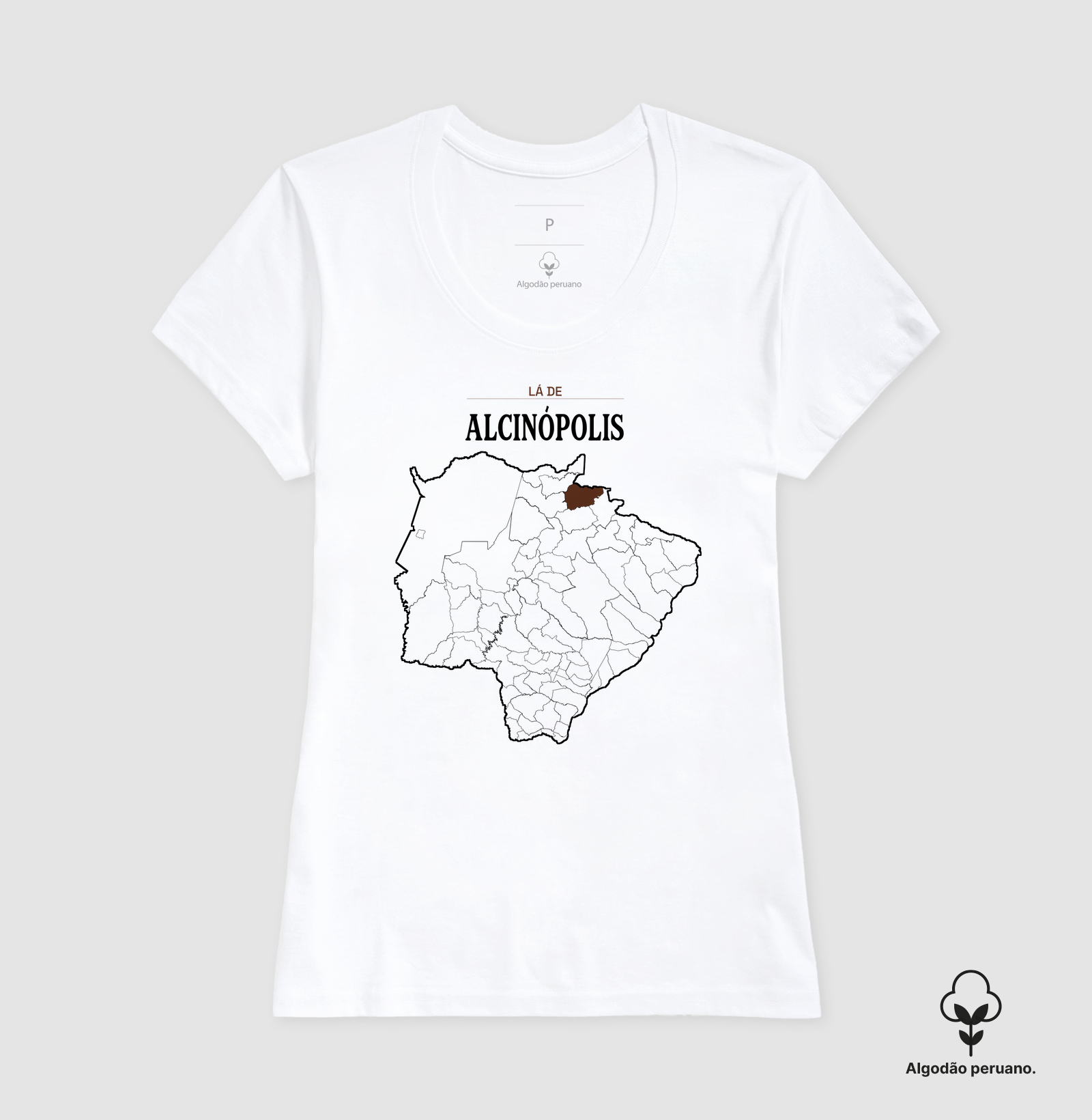 Alcinópolis | Território MS - Imagem 7