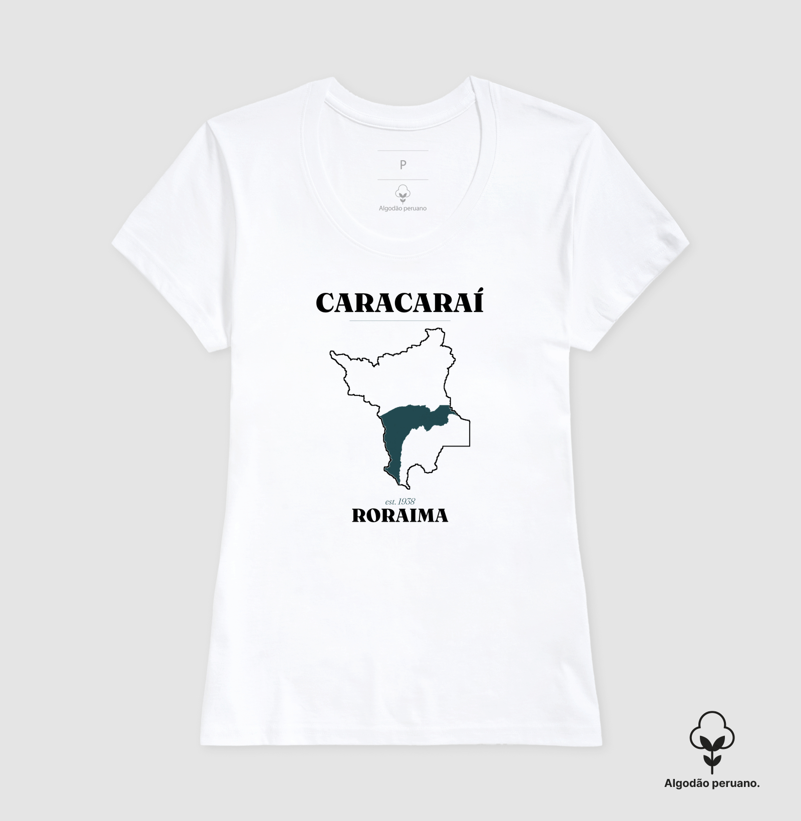 Caracaraí | Legado RR - Imagem 3