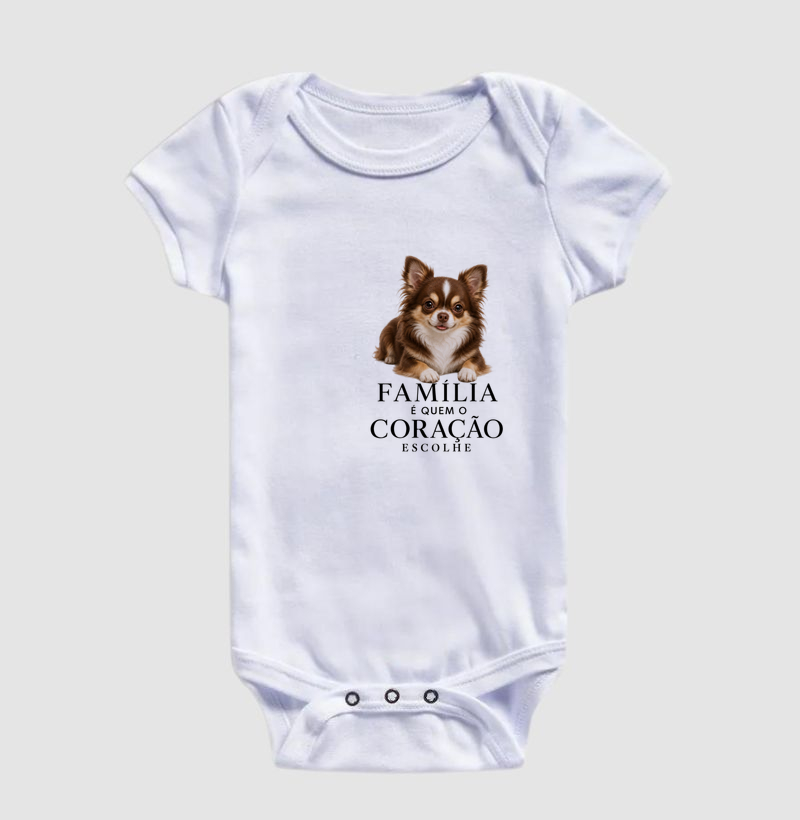 Chihuahua Pelo Longo Marrom - Família - Imagem 3