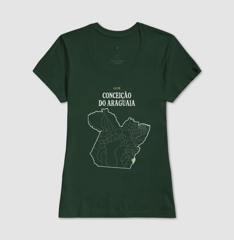 Conceição do Araguaia | Território PA - Imagem 13