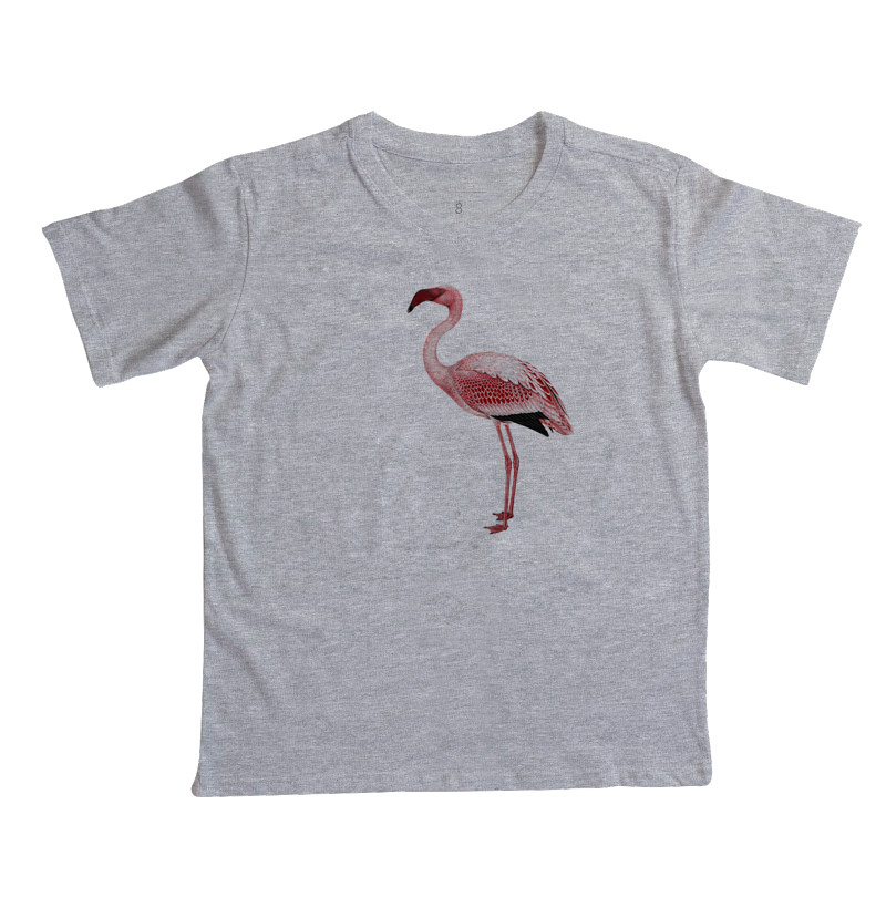 Flamingo - Imagem 3