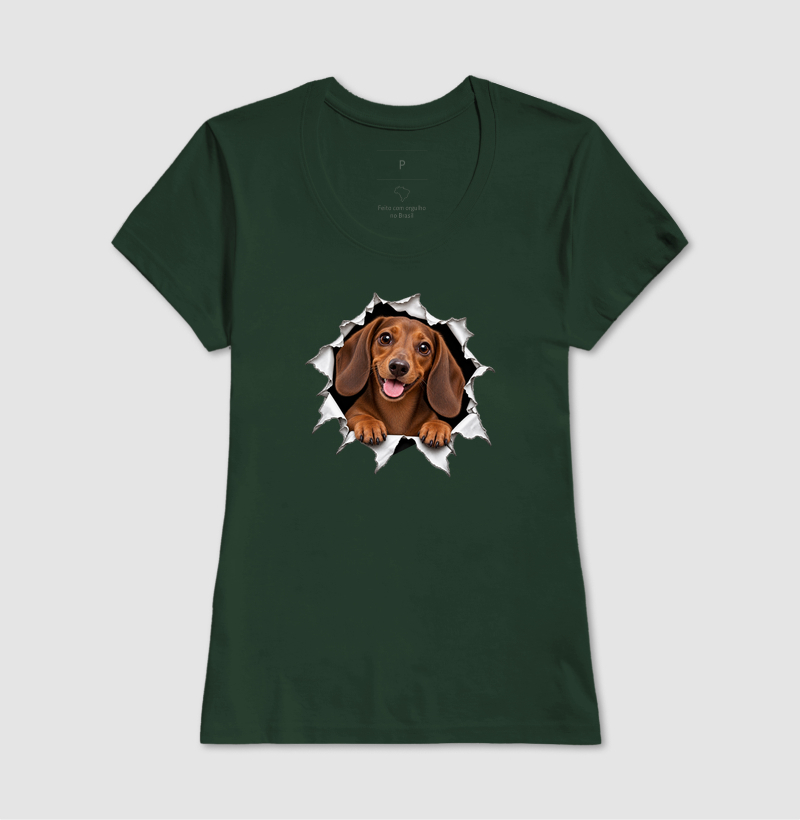 Dachshund Saindo Pelo Rasgo - Imagem 13