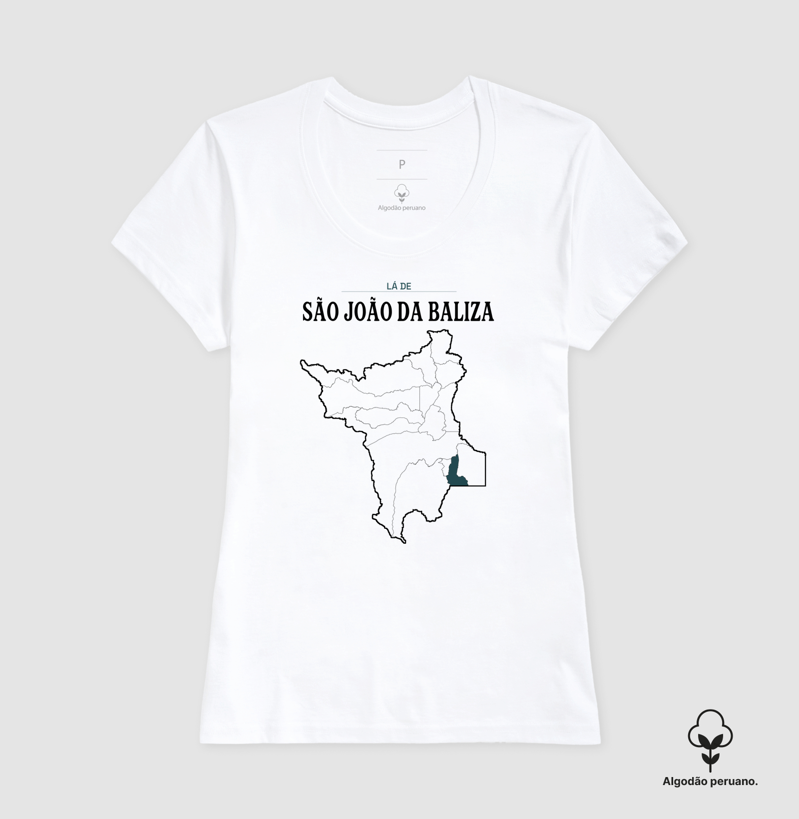 São João da Baliza | Território RR - Imagem 2