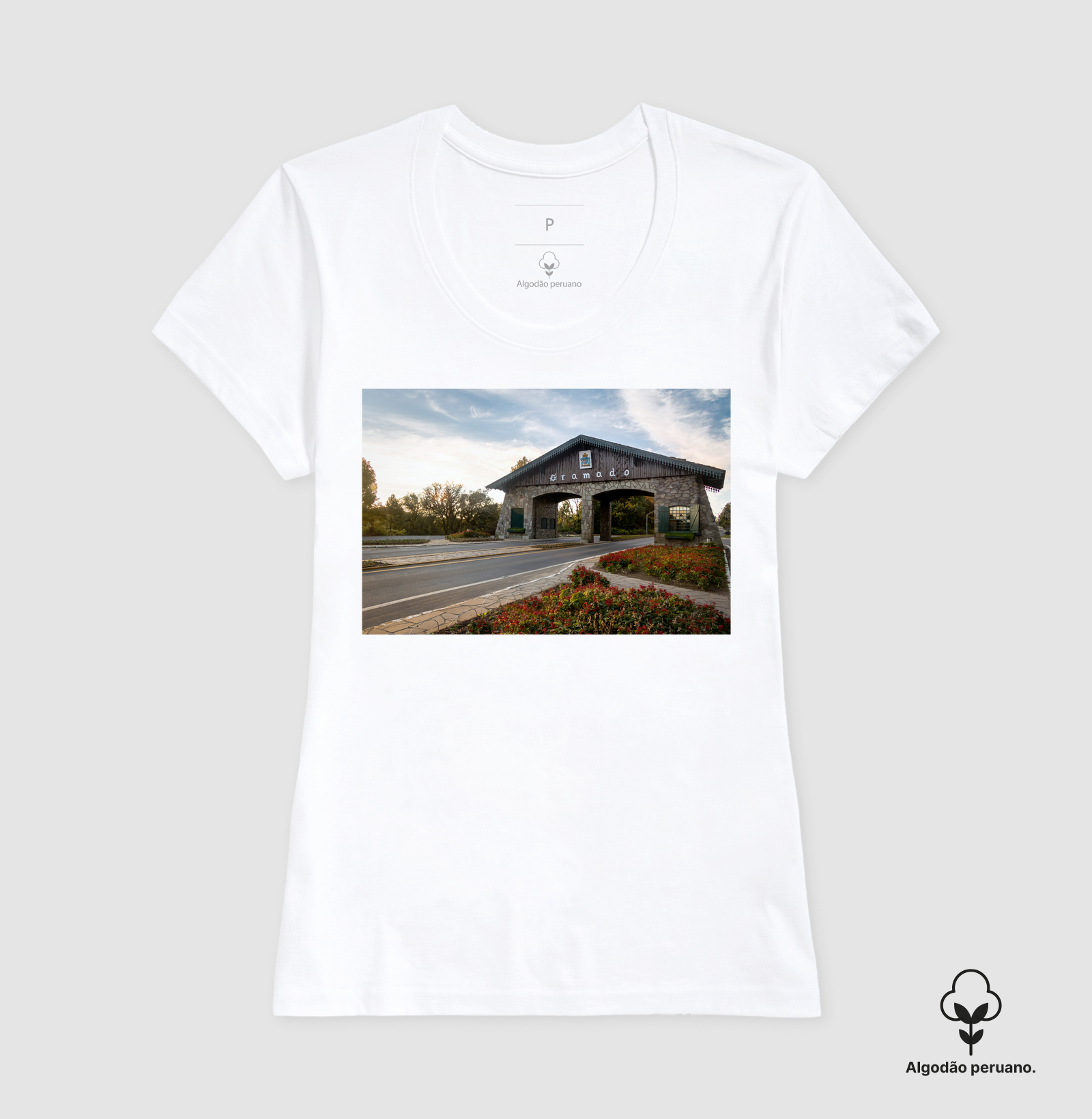 Camisa 6
