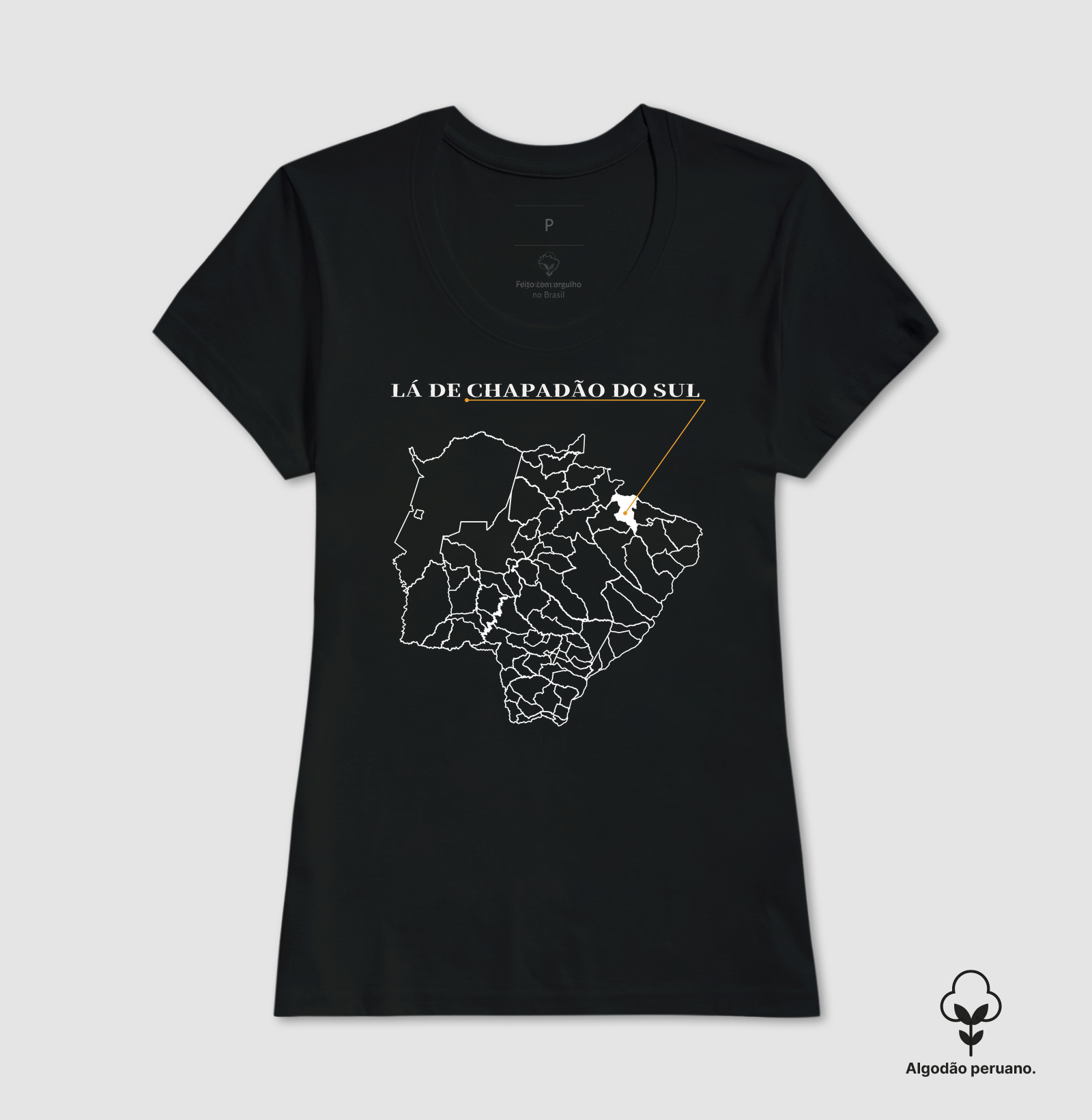 Chapadão do Sul | Origem MS - Imagem 8